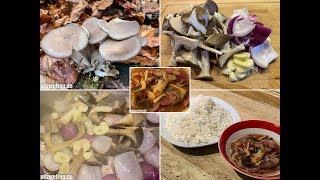 Rezept Austernseitlinge zubereiten  Austernseitlinge SüßSauer  Pleurotus ostreatus [upl. by Mathia933]