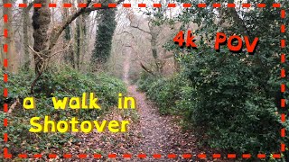 A winter walk in Shotover 4k POV [upl. by Parish]