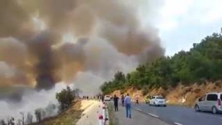 videoIncendie spectaculaire ENTRE ADEKAR ET EL KSEUR BEJAIA [upl. by Aneehsyt545]