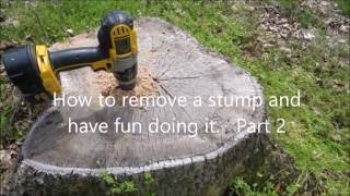 Easy Way to Remove Tree Stumps  Part 2 [upl. by Candi]