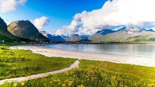 Uplifting Music  light positive happy music Gullrosøya  1 hour [upl. by Kalinda]