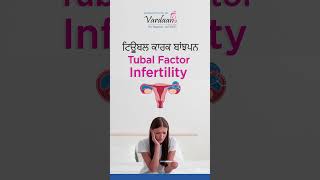 Fallopian Tube Blockage Symptoms Causes Diagnosis and Treatment  IVF in Jalandhar [upl. by Annahpos936]