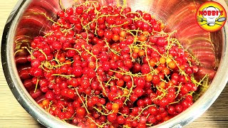 Johannisbeeren Gelee super einfach und lecker [upl. by Ardena]