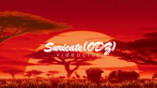 Videoclub  suricate slowed  reverb [upl. by Slaby472]