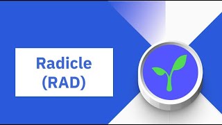 Radicle Coin Nedir [upl. by Ikkela]