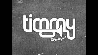 Timmy Trumpet  Freaks remix [upl. by Ibrab]