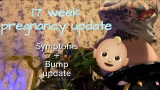 17 Week Pregnancy UpdateBump Update With Baby 3 [upl. by Enrahs]