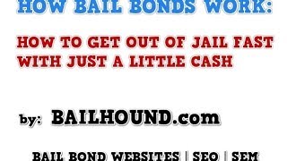 How Bail Bonds Work  Zero Down Bail and Online Bail Approved in Minutes [upl. by Belshin426]