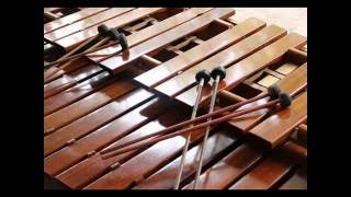 MARIMBA REYES DE TONALA  ASI FUE [upl. by Assirual]