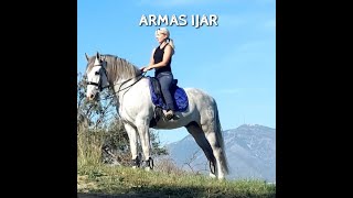 ARMAS IJAR PRE Wallach gelding wwwandalusiercom [upl. by Nikaniki]