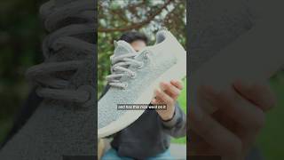 Allbirds shoes explained [upl. by Johann451]