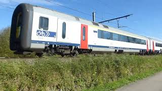 Train in Zichem Belgium [upl. by Girard]