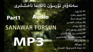 Uyghur Sanawar Tursun music [upl. by Zalucki]