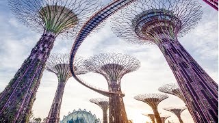 Gardens by the Bay Singapore Tour  Cloud Forest amp Flower Dome Supertrees Night Light Show Skyway [upl. by Wooster]