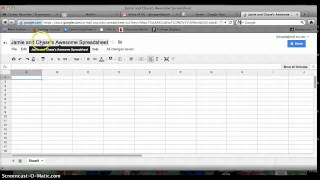 How to Make A Spreadsheet on Google Docs [upl. by Daven]