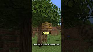 LA DIMENSIÓN DE LAS ABEJAS EN MINECRAFT [upl. by Adnahcir79]