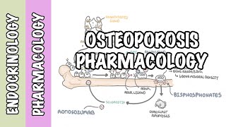 Osteoporosis pharmacology prevention and treatment bisphosphonates denosumab SERMs [upl. by Odrareve]