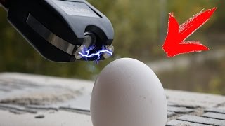 I CAN TASER ROAST EGG  DO NOT REPEAT [upl. by Adelheid]