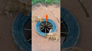 Survival Skills Simple But Very Useful with rabbit deep hole trap shorts survival outdoors [upl. by Naida616]