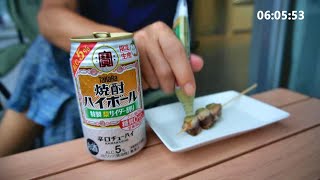 20241008【限定品早朝飲み】タカラ 焼酎ハイボール 特製 梨サイダー割り・メカジキ串焼き [upl. by Lyle]