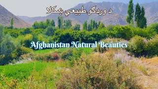 Discover the Natural Beauty of Alasang Village Wardak Afghanistan  Afghanistan Natural Beauties [upl. by Campbell719]