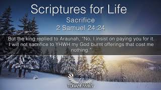 Scriptures for Life  Sacrifice [upl. by Kyre]