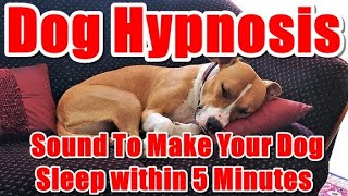 Dog Hypnosis  Sound To Make Your Dog Sleep within 5 Minutes [upl. by Sweyn139]