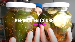 PEPINOS EN CONSERVA Y COMO ESTERILIZAR FRASCOS  Maxi Cocina [upl. by Umeko477]