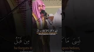 Beautiful Quran Recitation Surah AzZumar Verse 8 Haitham Al Dakhin [upl. by Seek]