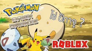 สอนทำ โปเกม่อน ให้ออกไข่   Roblox  Pokemon Brick Bronze [upl. by Filiano]