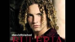 David Bisbal  Permítame señorawmv [upl. by Enelrac]