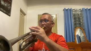 WHEN A MAN LOVES A WOMAN  Michael Bolton Trumpet cover [upl. by Dosi]