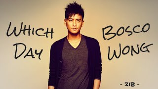 VietsubPinyinFMV Which Day  Bosco Wong 第幾天 第几天 黃宗澤 黄宗泽 OST Dicey Business TVB 2006 [upl. by Howell]