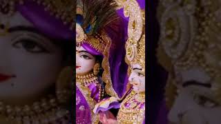 premanand Maharaj ji ka short video Radha Rani ka kirtanvideoytshorts [upl. by Adnilemreh181]