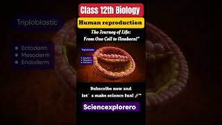 Human Reproduction Class 12th Biology chapter 3 ncert fully explained ncert sciencexplorero neet [upl. by Amund]