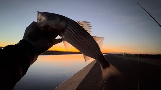 Striped bass fishing on the California Aqueduct 103124 [upl. by Joette]