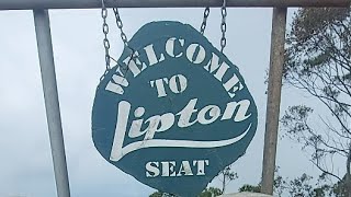 Lipton seat  Haputala [upl. by Perrine590]