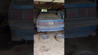 Abandoned Mustang GT With Ferrari F40 Wing barnfind [upl. by Secnarfyram110]