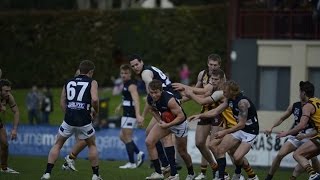 Patrick Cripps  2014 VFL Season Highlights [upl. by Wearing]