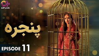 Pakistani Drama  Pinjra  Episode 11  Aplus Gold  Yumna Zaidi Nauman Aijaz  CZ1O [upl. by Kenna]