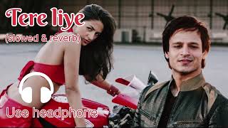 Tere liye song  new lofi song 2024  Prince movie  lofigirl lofimusic music song [upl. by Elleirda]