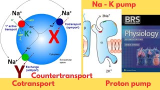 BRS Physiology  Transport across the Cell Membrane  Active transport  NaK Pump  FCPS Part1 [upl. by Charis]