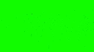 Black Particles on Green Screen  HD Free Footage [upl. by Notgnirra246]