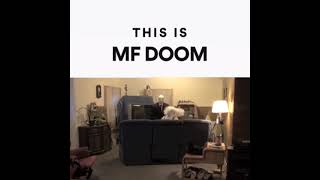 This is MF DOOM Slenderman gets WHAT [upl. by Atila323]