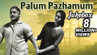 Palum Pazhamum Tamil Movie Songs Jukebox  Sivaji Ganesan Saroja Devi  Classic Songs Collection [upl. by Stillman]