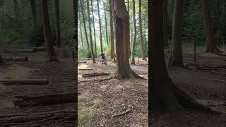 Offpiste at Haldon mtb mountainbikejumps mtbjumps mtbjump [upl. by Eanehs]