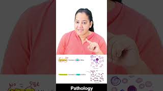 1 minute learning Anisocytosis and Poikilocytosis [upl. by Robbie]