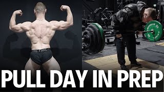 PULL DAY AND PREP UPDATE  2024 PREP EP 3 [upl. by Bridgid]