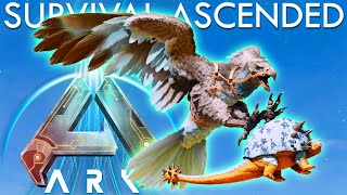 Ark Survival Ascended  Doedicurus Taming amp Base Building Begins ASA E10 Ark Ascended Gameplay [upl. by Ydok]