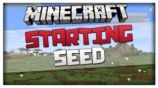 Minecraft Seeds  Great Starting Seed  Village and 6 biomes Minecraft 188  18  17 [upl. by Diley]